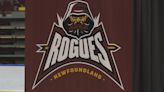 To avoid the fate of the Growlers, Rogues need more support from fans and sponsors, says owner