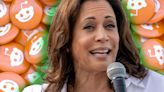 Backlash to the internet's newfound meme obsession with Kamala Harris brews on Reddit