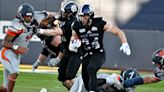 'Perfect day for football': Fans flock to Polar Park as Holy Cross routs Bucknell