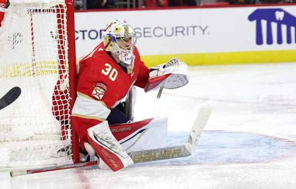 Trade Pitch Has Red Wings Acquiring Star $13 Million Goalie in Blockbuster