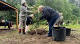 Agassiz community orchard takes root