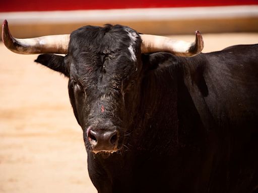 Feria del Toro de San Fermín 2024: toreros, ganaderías y precio de entradas y abonos
