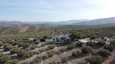 El paisaje del olivar impulsa la actividad de alojamiento en cientos de pueblos españoles