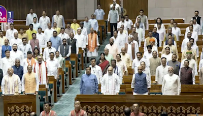 "Goosebumps", "Nerves", "Elation": First Reactions From First-Time MPs