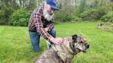 Massachusetts man's dying wish is to find new home for his best friend