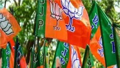 BJP holds marathon meetings for Maharashtra polls - News Today | First with the news