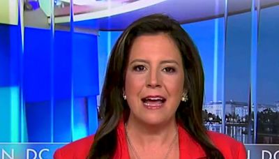 Elise Stefanik blames Harris for 'politicizing' Trump's campaign stunt at Arlington