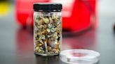 Can Microdosing Mushrooms Actually Improve Mental Health?