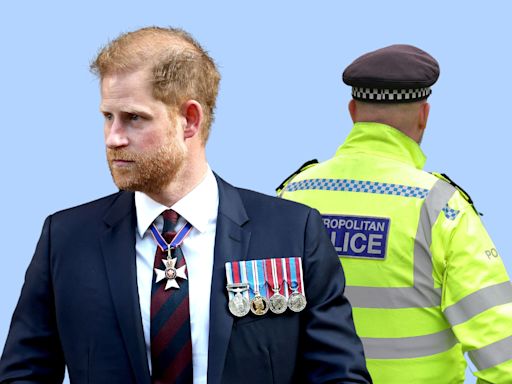 Prince Harry's police security: new UK government issues 1st statement