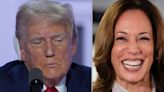 Trump Pollster Warns Campaign A 'Harris Honeymoon' Is Coming