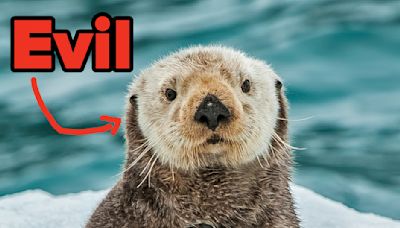 Otters Are Like, Super Evil — And 16 Other Unsettling Facts I Recently Learned About Otherwise Cute Animals