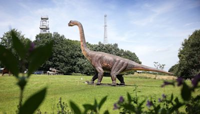 Dinosaurs have descended on Heaton Park for the school holidays