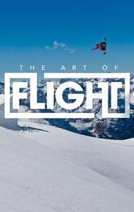 The Art of Flight