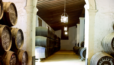 Bodegas que puedes visitar la semana de Feria de Jerez