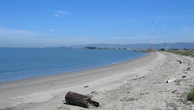 Ex-con says he's rightful owner of 'secret' California beach