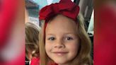 Volunteers in Wise County help search for missing 7-year-old Athena Strand