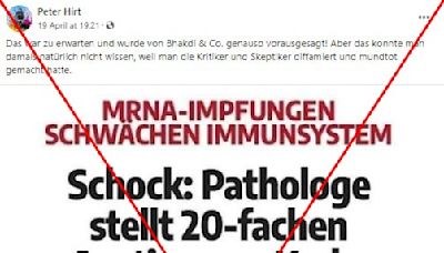 Kein Zusammenhang zwischen Coronaimpfung und Krebs