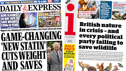 Newspaper review: 'British nature in crisis' and 'game-changing weight loss jab'