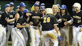 Playoff Cat Fight: Lions, Tigers split first two games of third-round series