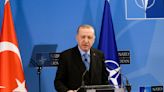 Turkey and NATO: Through the Looking-Glass