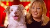 Britain's Got Talent: Ex-finalist wows judges with new dog act