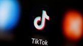 TikTok prohibirá videos que promuevan la "Carta a América" de Bin Laden