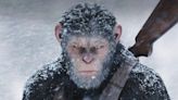 Kingdom of the Planet of the Apes: Does Caesar Appear?