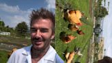 David Beckham posta vídeo onde é seguido por galinhas