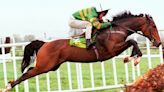 'He was a mystical character' - Aidan O'Brien's glowing tribute after death of legendary Champion Hurdle hero Istabraq