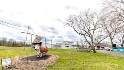 ‘Nuisance’ Bucks slaughterhouse hit with lawsuits for alleged farmland violations