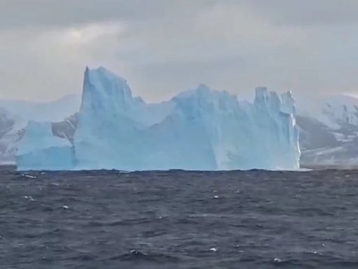 Prefectura monitorea el recorrido del iceberg que apareció cerca de Ushuaia: son siete los témpanos que flotan sin rumbo