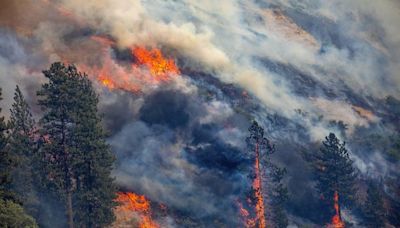 California's largest wildfire is 0% contained 2 days after it reportedly began with a burning car