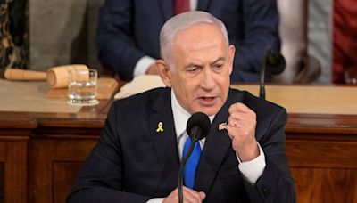 Netanyahu calls US pro-Gaza protesters ‘Iran’s useful idiots’ in Congress address