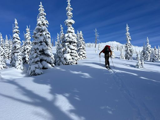 Schweitzer, Idaho Ends Land Lease with Selkirk Powder