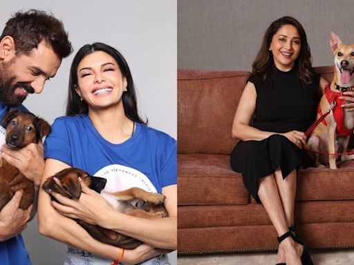 In Pics: From John Abraham to Madhuri Dixit, celebs who adopted strays