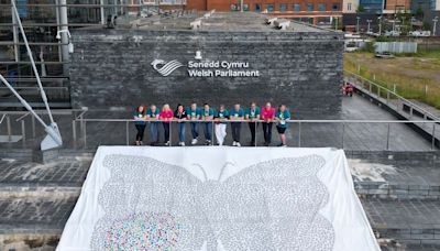 The heartbreaking reason a giant butterfly was unfurled on the steps of the Senedd