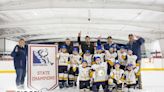 Gaylord Junior Blue Devils win 8U hockey state championship