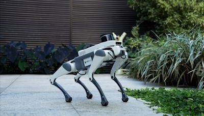 Conheça o Tbull, o robô de quatro patas da Rio Innovation Week