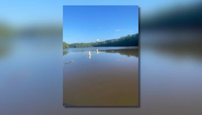 Authorities warn of alligator sighting at west central Georgia lake