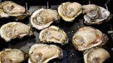 Oysters sold in multiple states recalled after dozens report illness