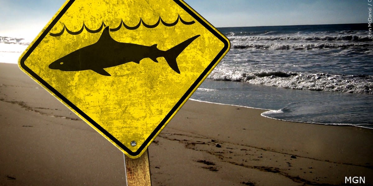 Multiple bitten by sharks in Walton County, officials hold press conference