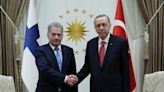 Turkey's Erdogan endorses Finland's NATO bid, but Sweden must wait