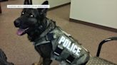 Remembering Canine Officer Aiko