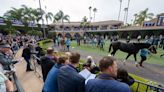 'Breeders' Cup Bound' Trip for Two Contest Underway