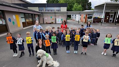 Schoolkids in Kerry doing their bit to keep Killarney clean from persistent dog fouling