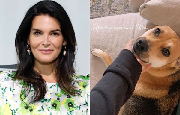 Angie Harmon Sues Instacart and Delivery Driver After Her Dog Was Shot and Killed