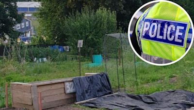 Youths cause 'nuisance, rubbish and damage' at allotments