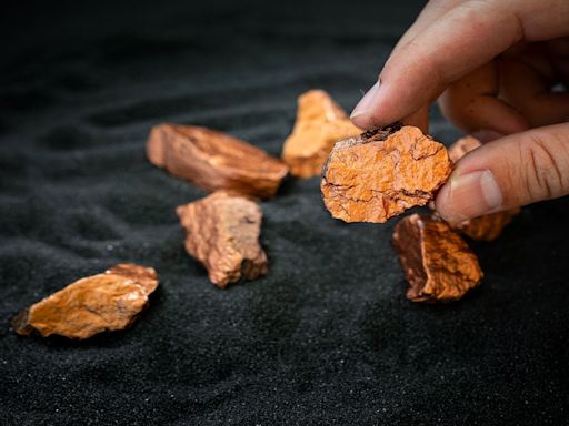 Magna Terra stakes copper-cobalt project in Canada