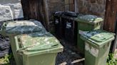 Fury in England's 'loveliest village' as unused bins pile up