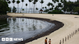 Singapore struggling to clean up oil spill coating beaches